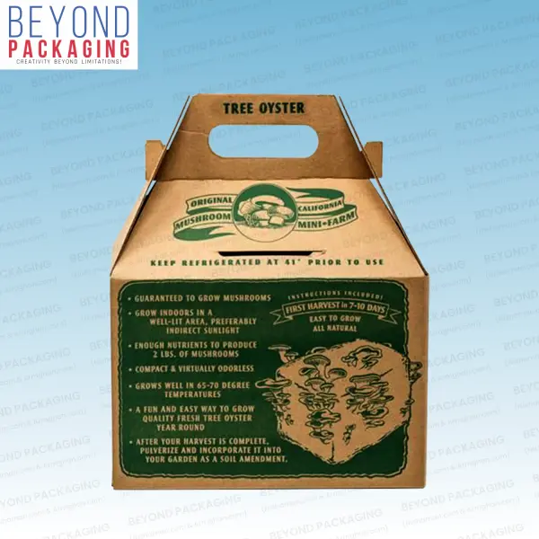 Brown Kraft Boxes