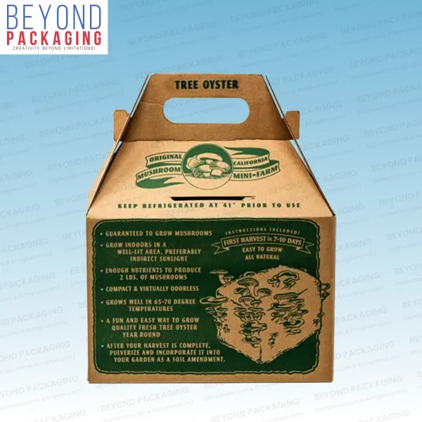 Brown Kraft Boxes